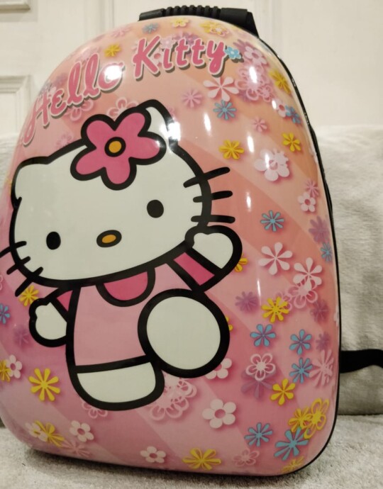 Hello Kitty shell bag
