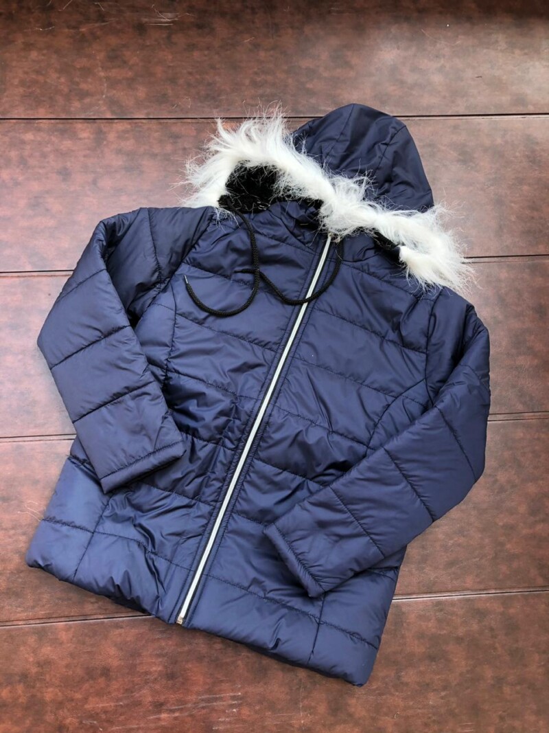 bluejacket