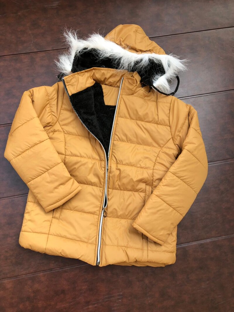 yellowjacket