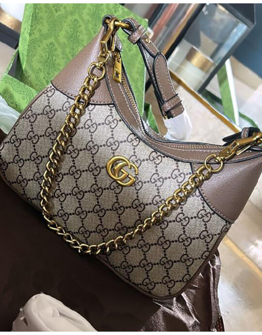 Gucci GG Ophidia Bag