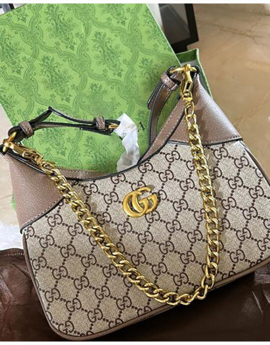 Gucci GG Ophidia Bag