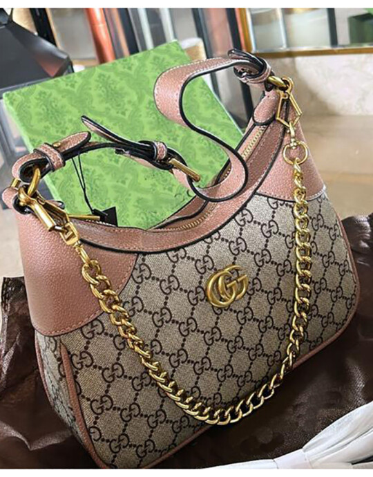 Gucci GG Ophidia Bag