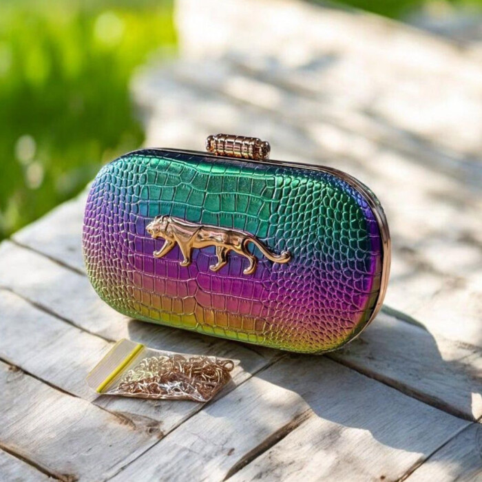 Sabyasachi clutch
